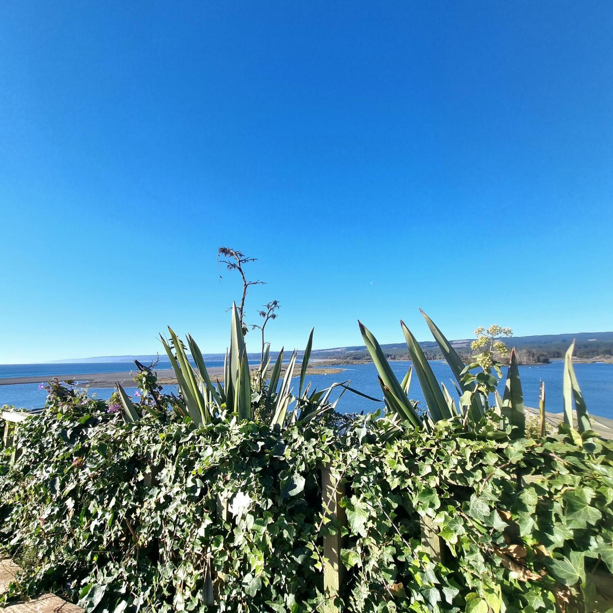 Max & Mar Pichilemu Luaran gambar
